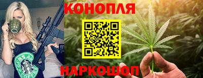 крисы Ачхой-Мартан