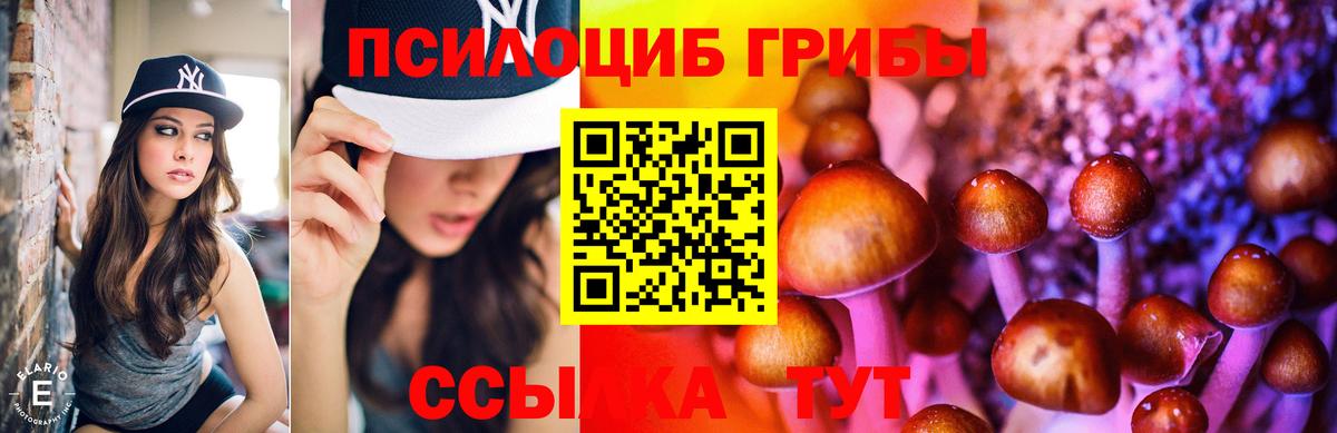 Псилоцибиновые грибы Magic Shrooms Зеленодольск